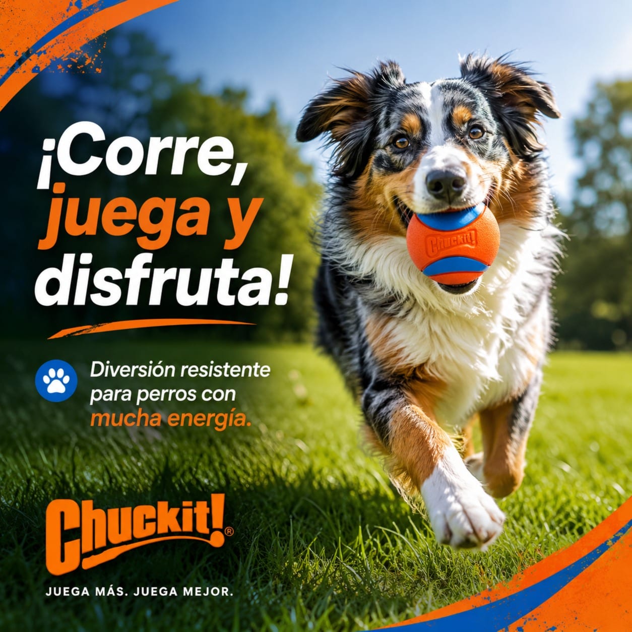 Chuckit Ultra Ball Medium - 2 Pelotas para perros