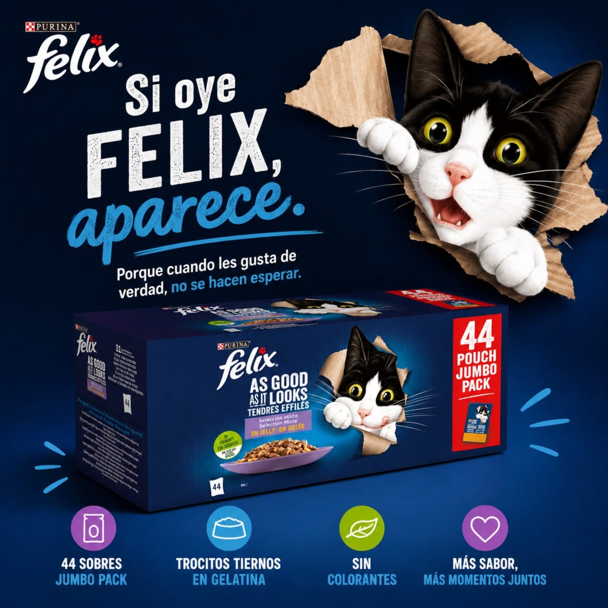 FELIX FANTASTIC - COMIDA HÚMEDA PARA GATO ADULTO miniatura 2
