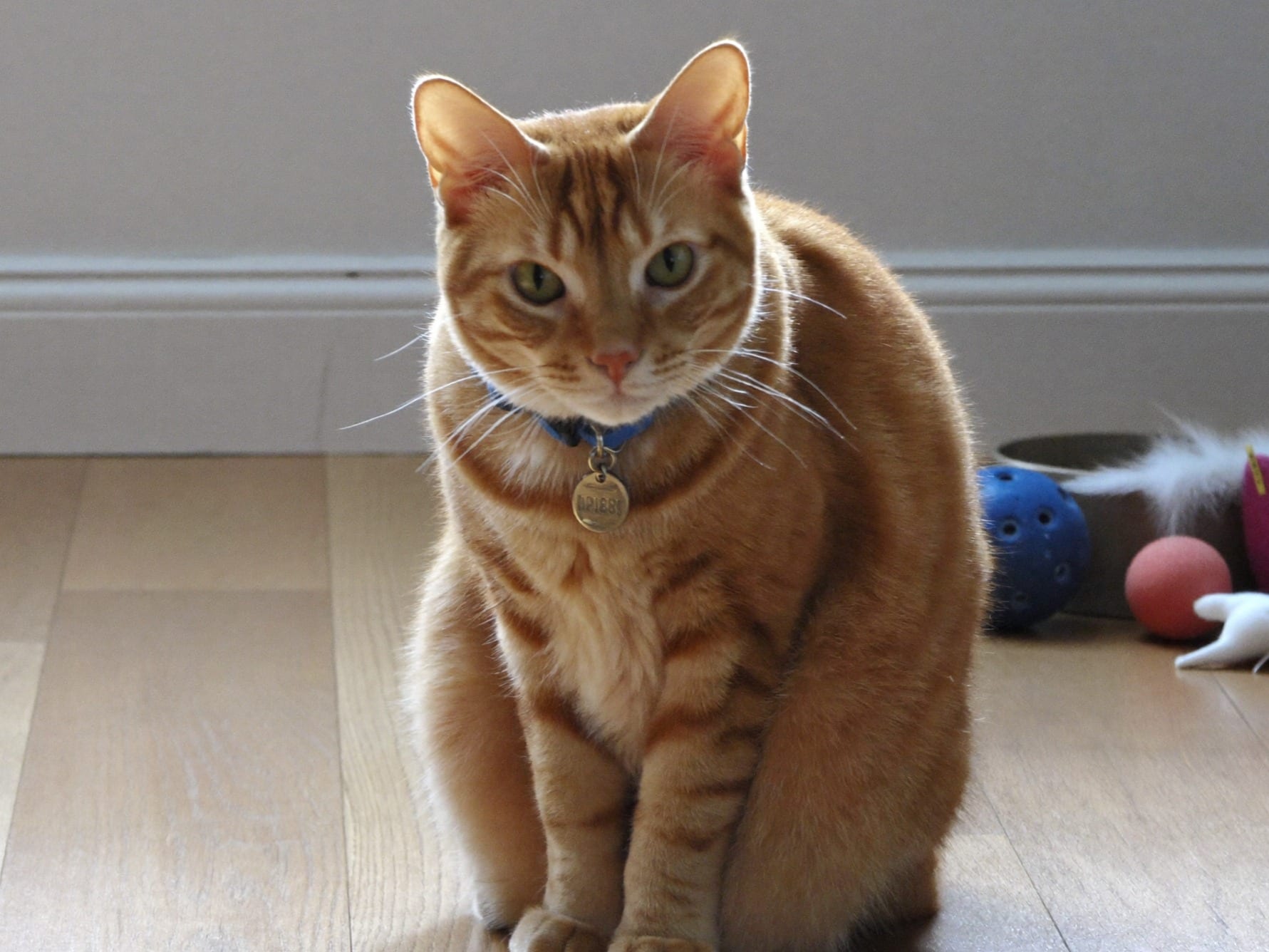 Manx