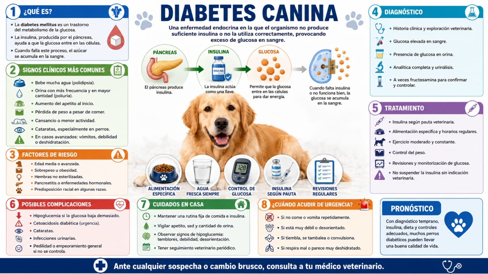 Diabetes Canina