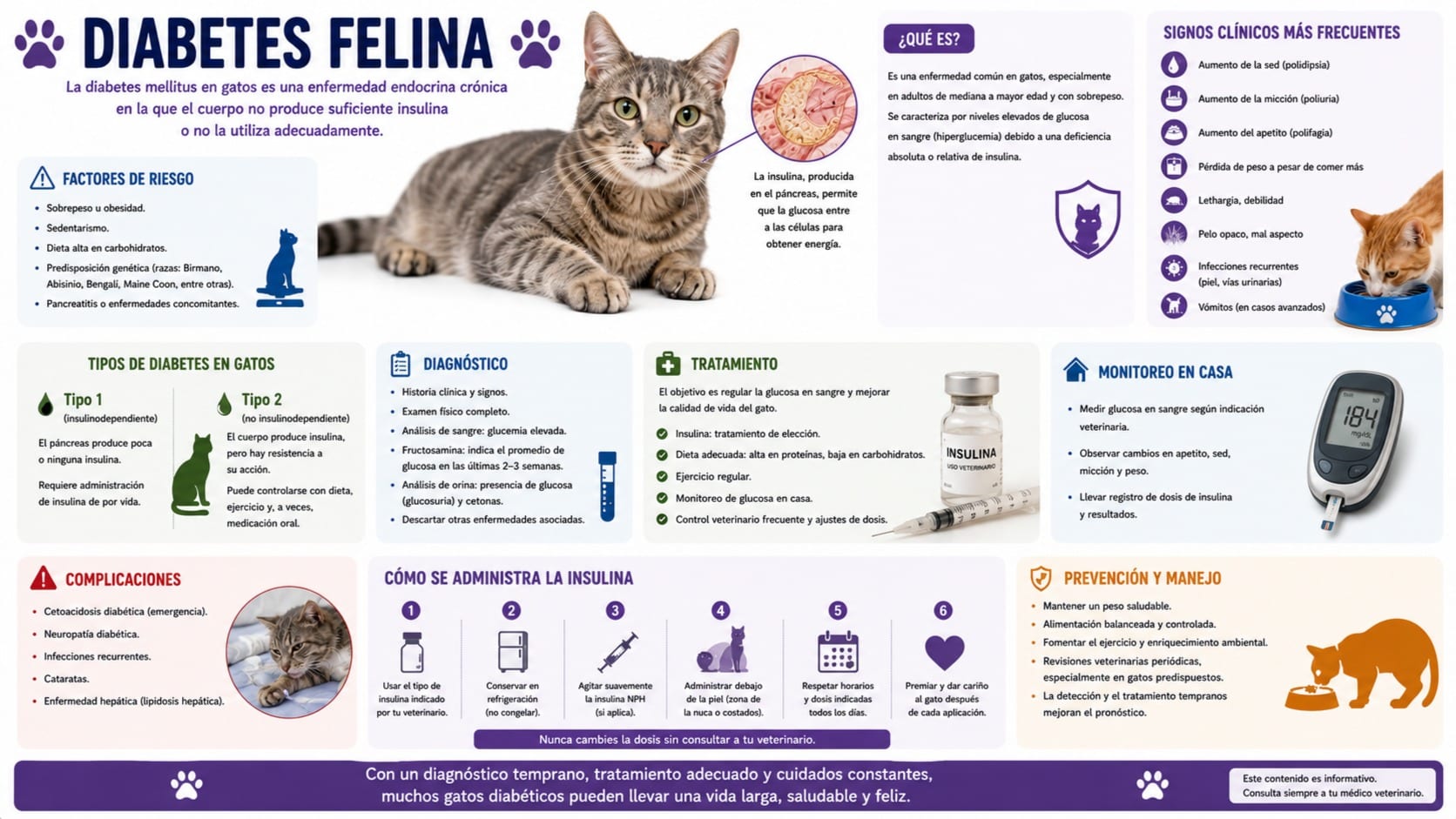 Diabetes Felina