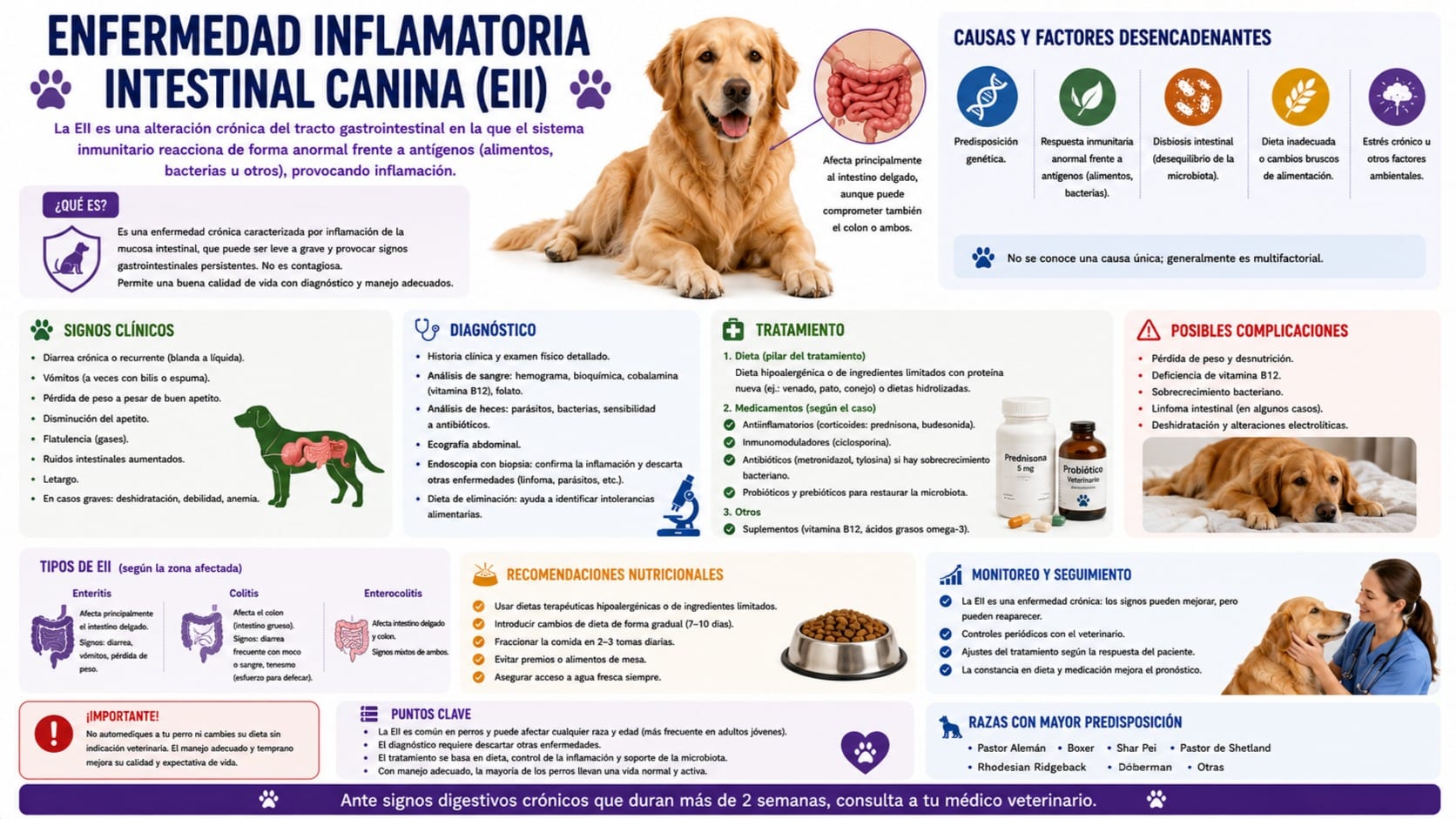 Enfermedad Inflamatoria Intestinal Canina