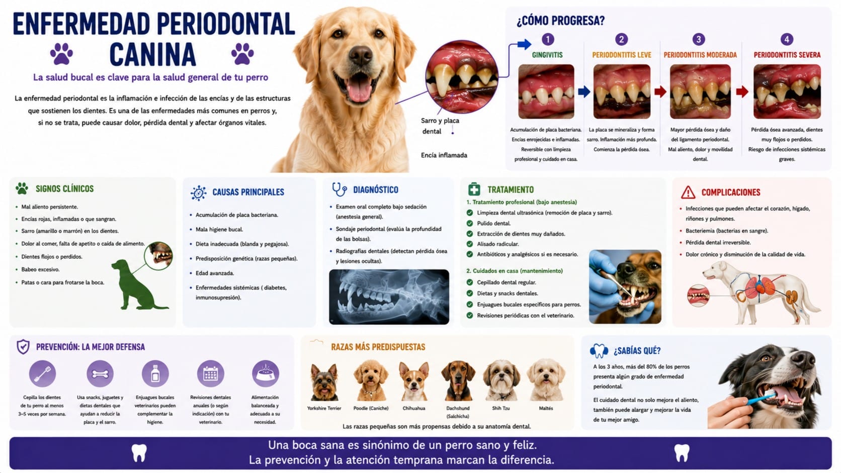 Enfermedad Periodontal Canina