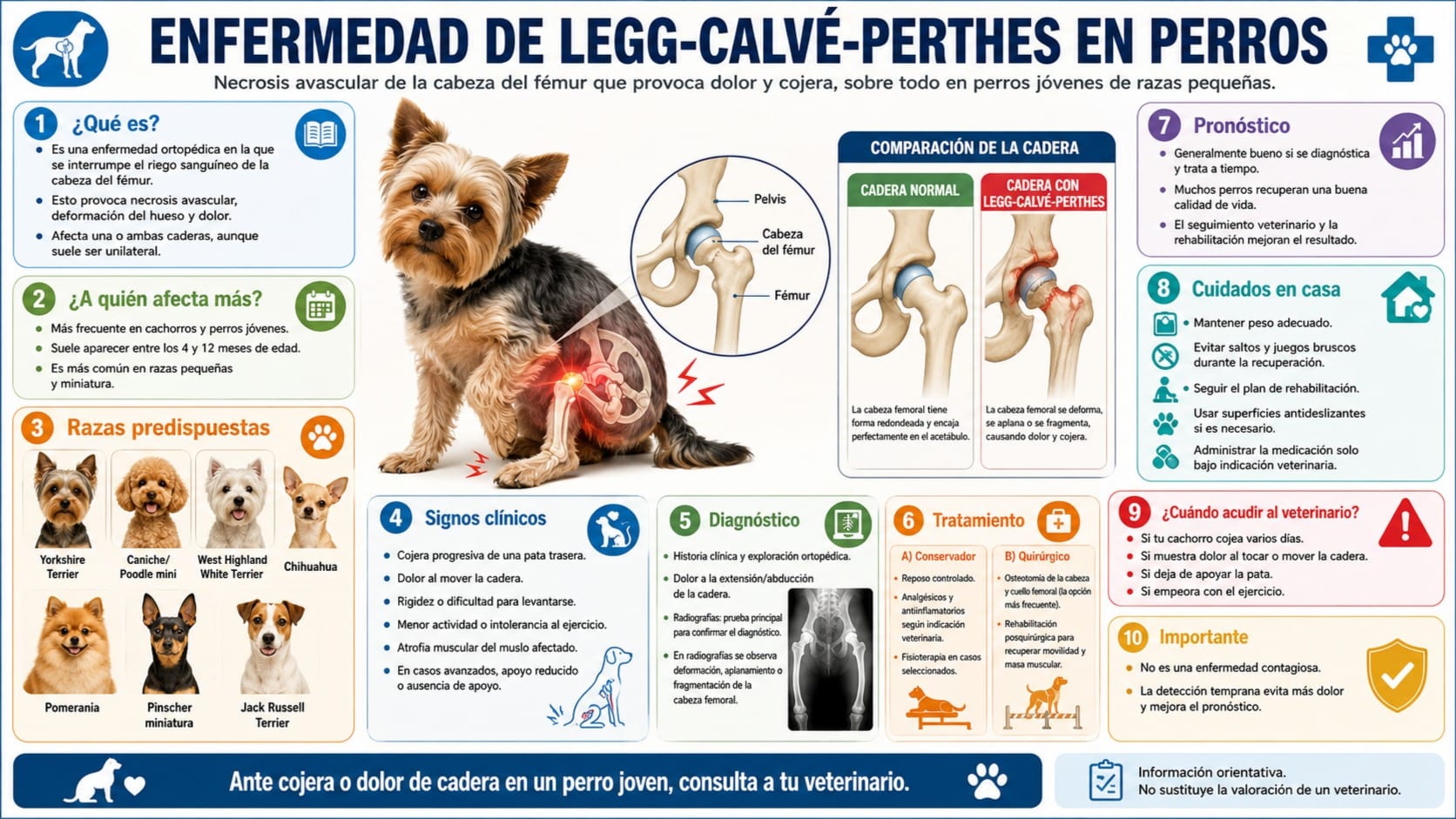 Enfermedad de Legg-Calvé-Perthes