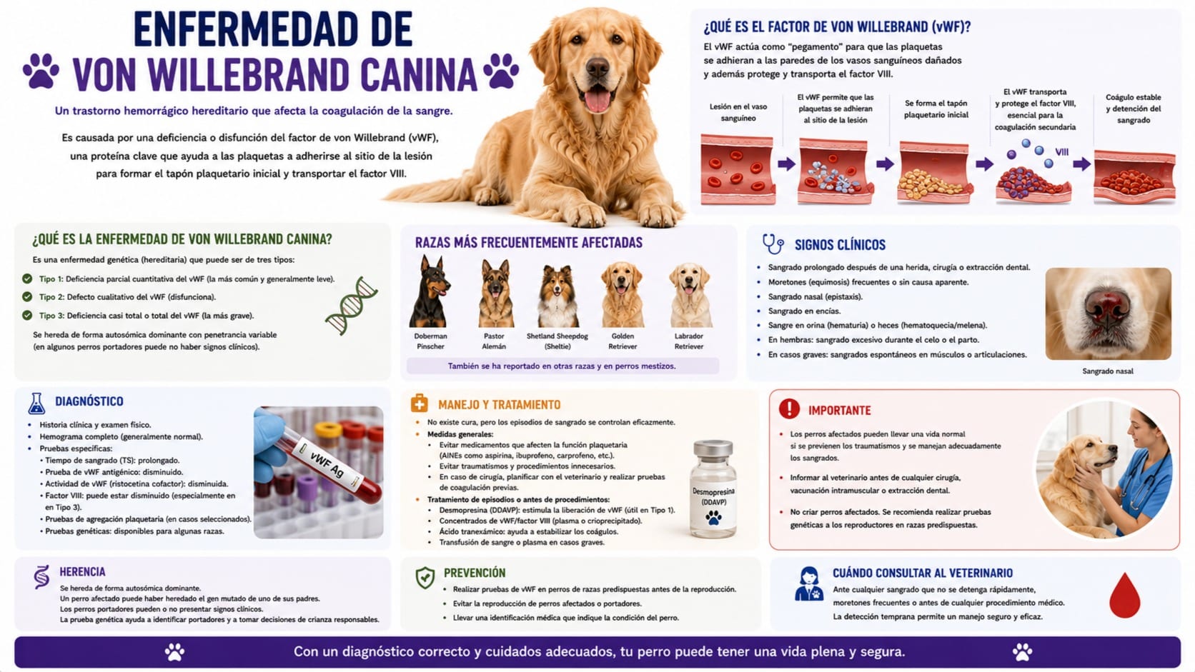 Enfermedad de von Willebrand Canina