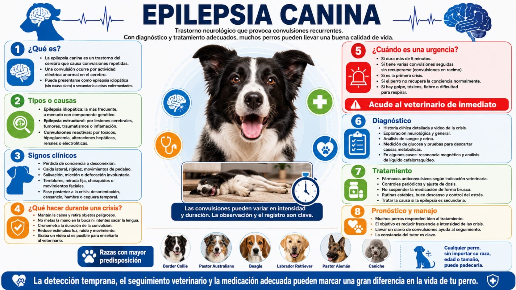 Epilepsia Canina