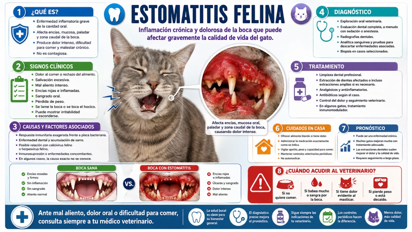 Estomatitis Felina