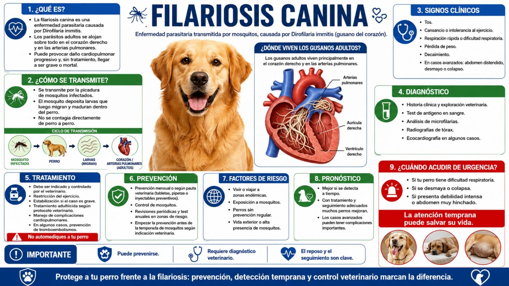 Filariosis