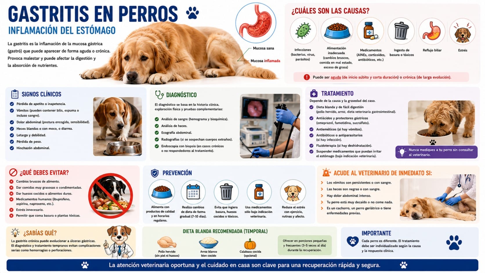 Gastritis
