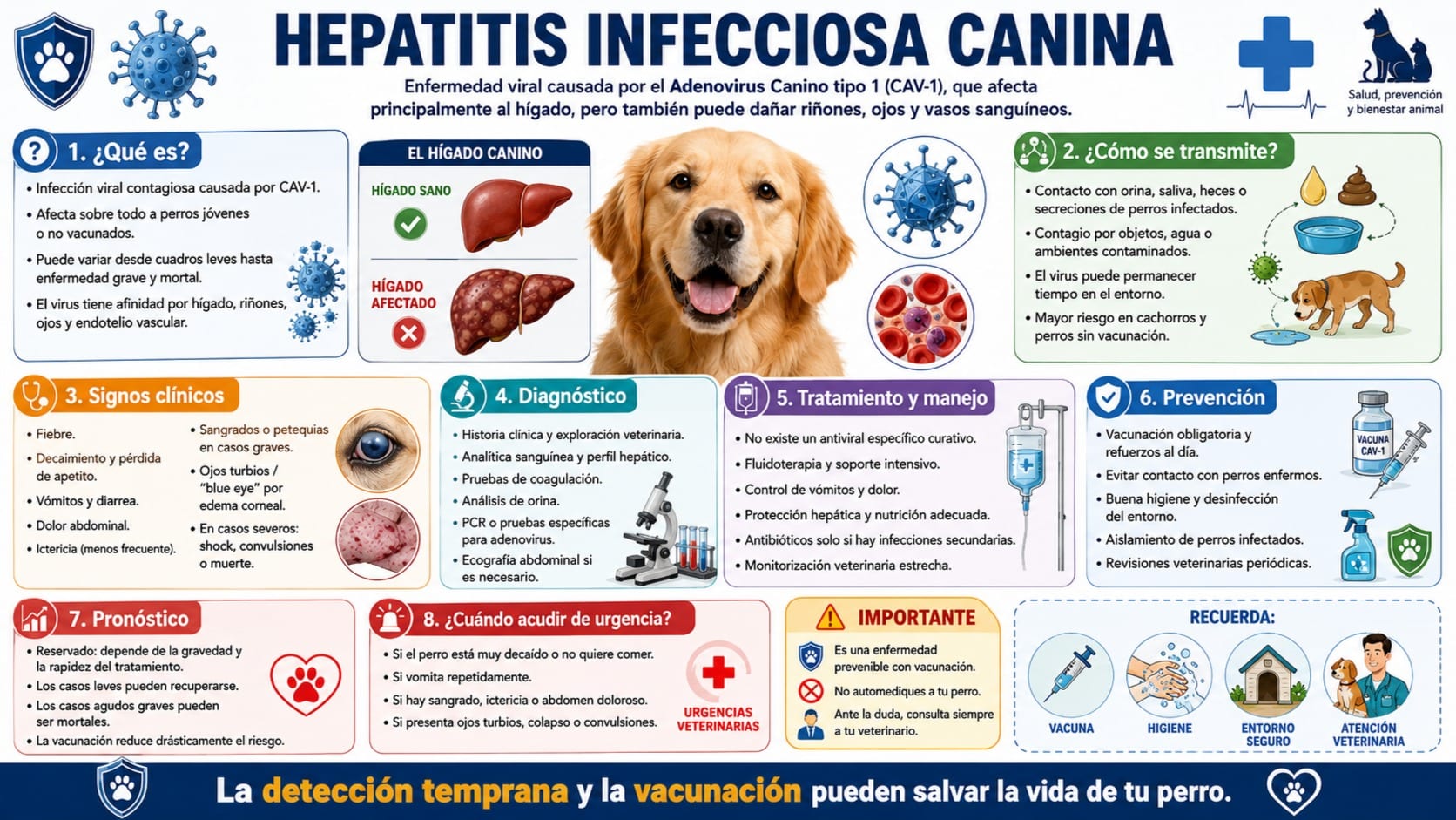 Hepatitis Infecciosa Canina