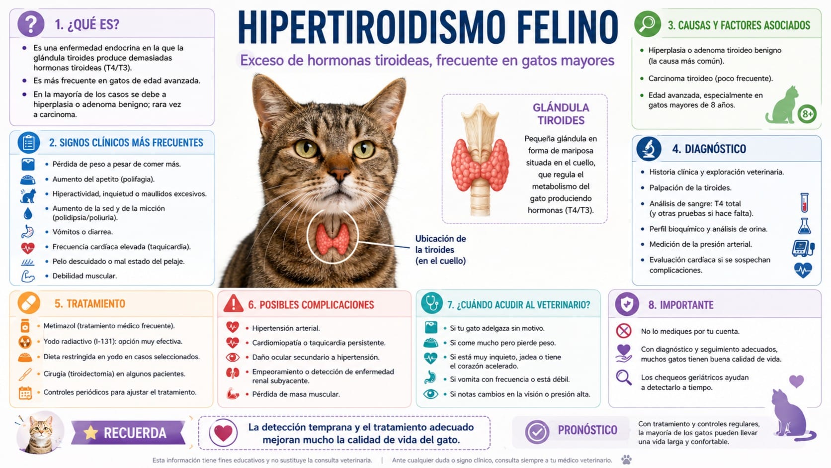 Hipertiroidismo