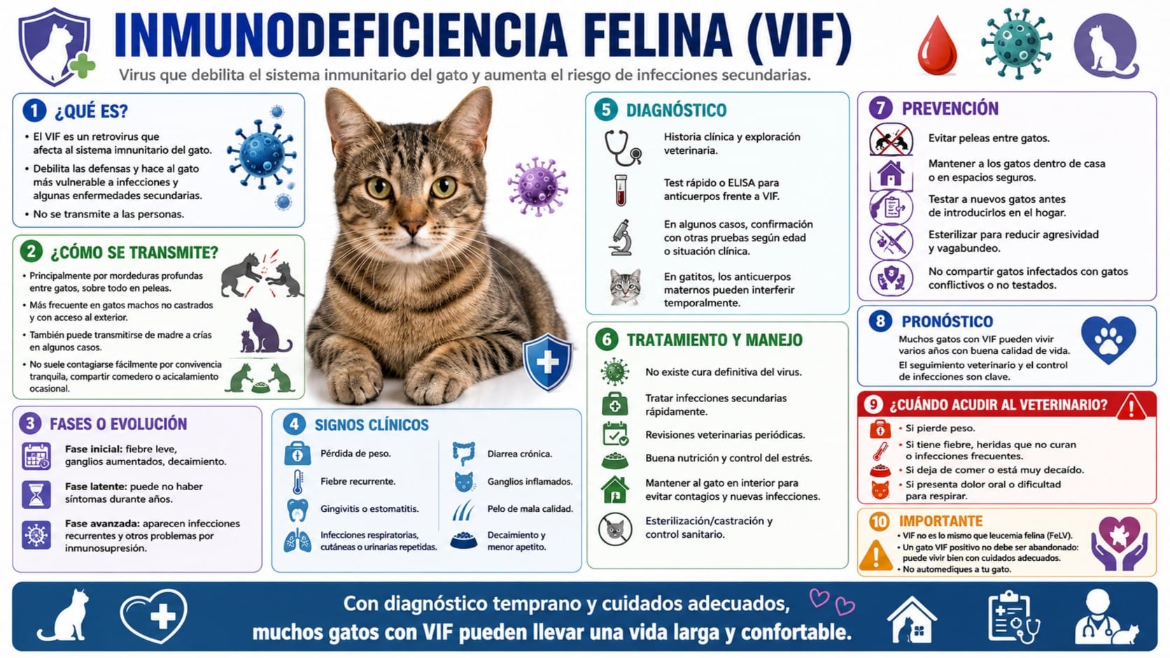 Inmunodeficiencia Felina (VIF)