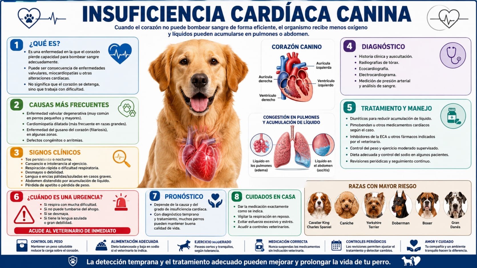 Insuficiencia Cardíaca Canina