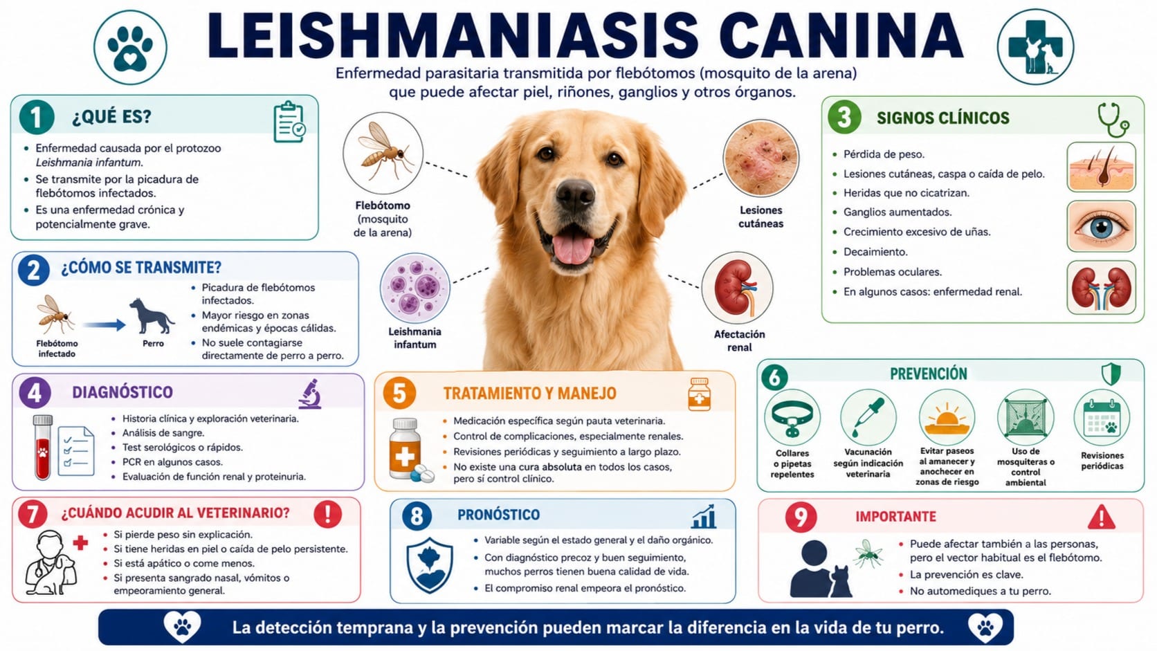 Leishmaniasis