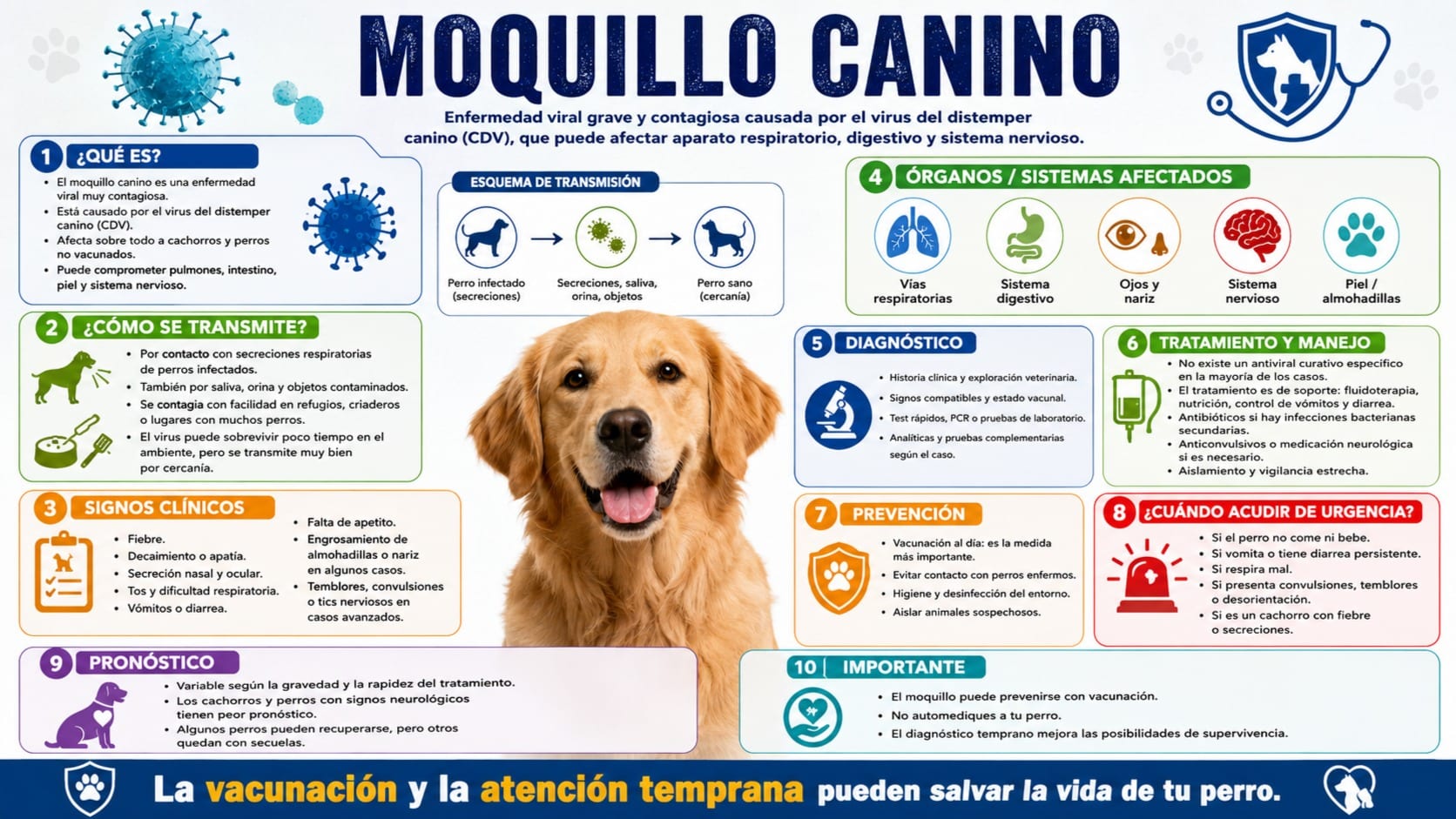 Moquillo