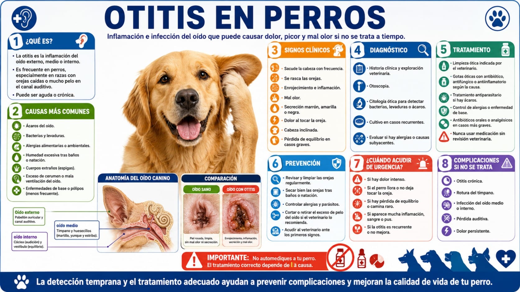 Otitis
