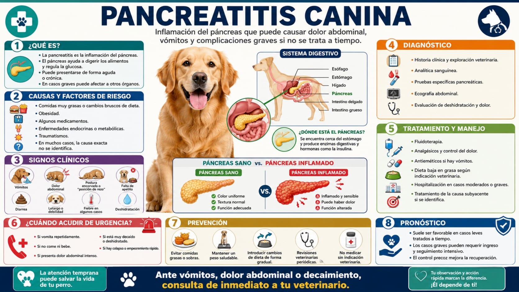 Pancreatitis Canina
