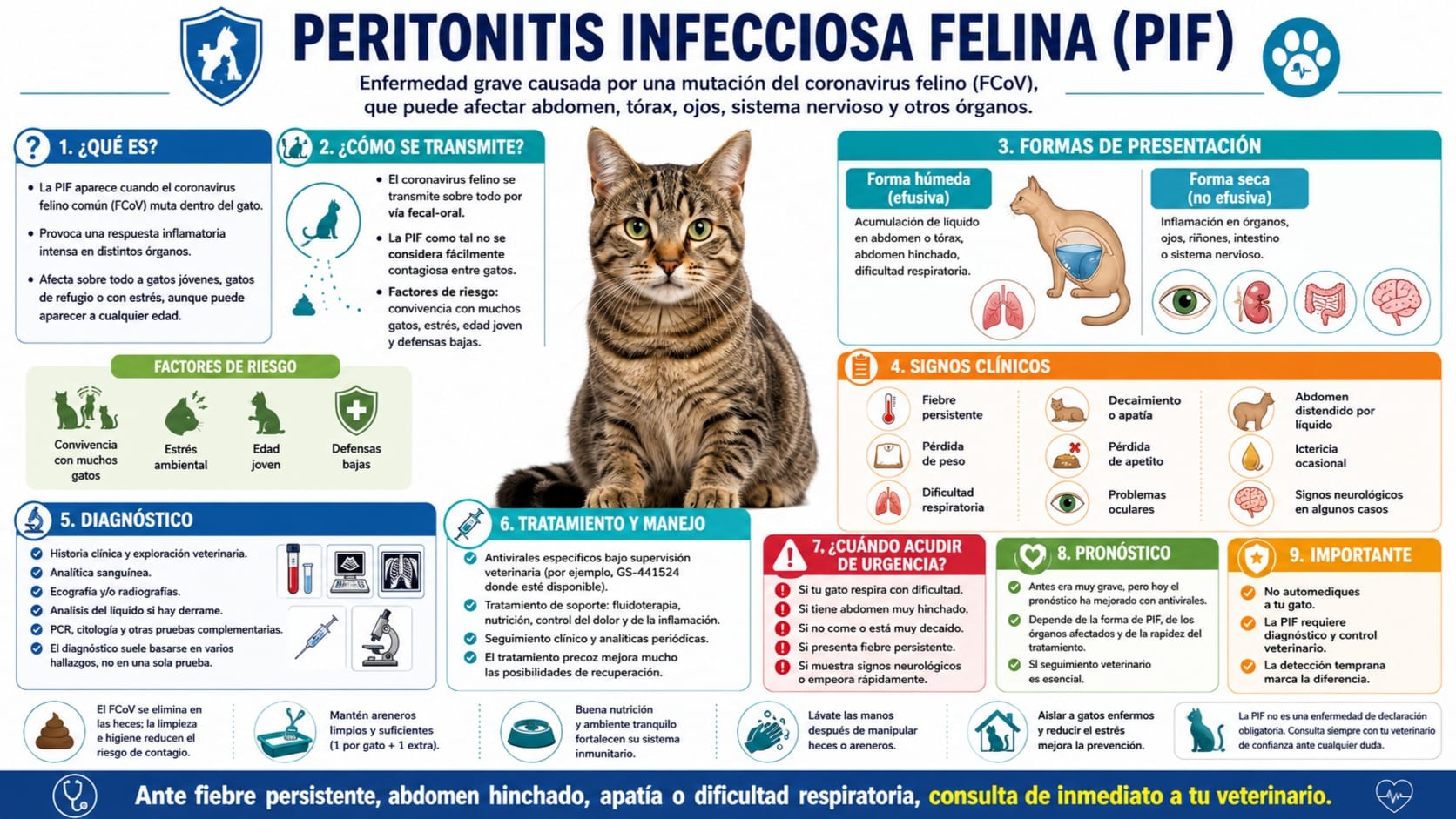 Peritonitis Infecciosa Felina (PIF)