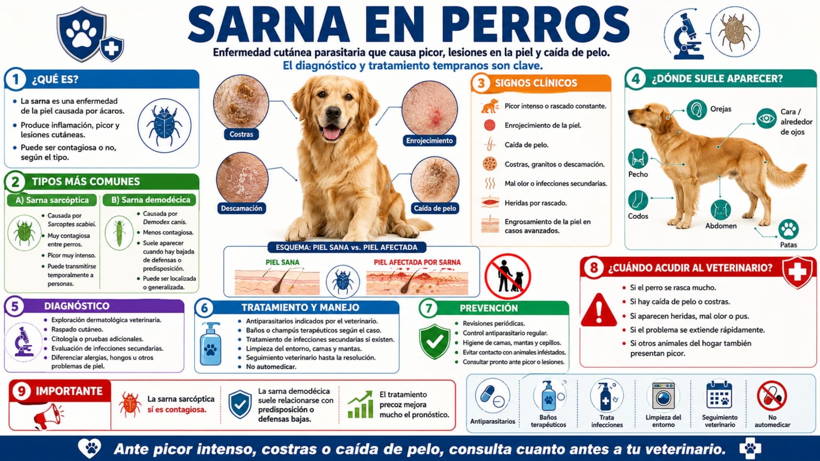Sarna