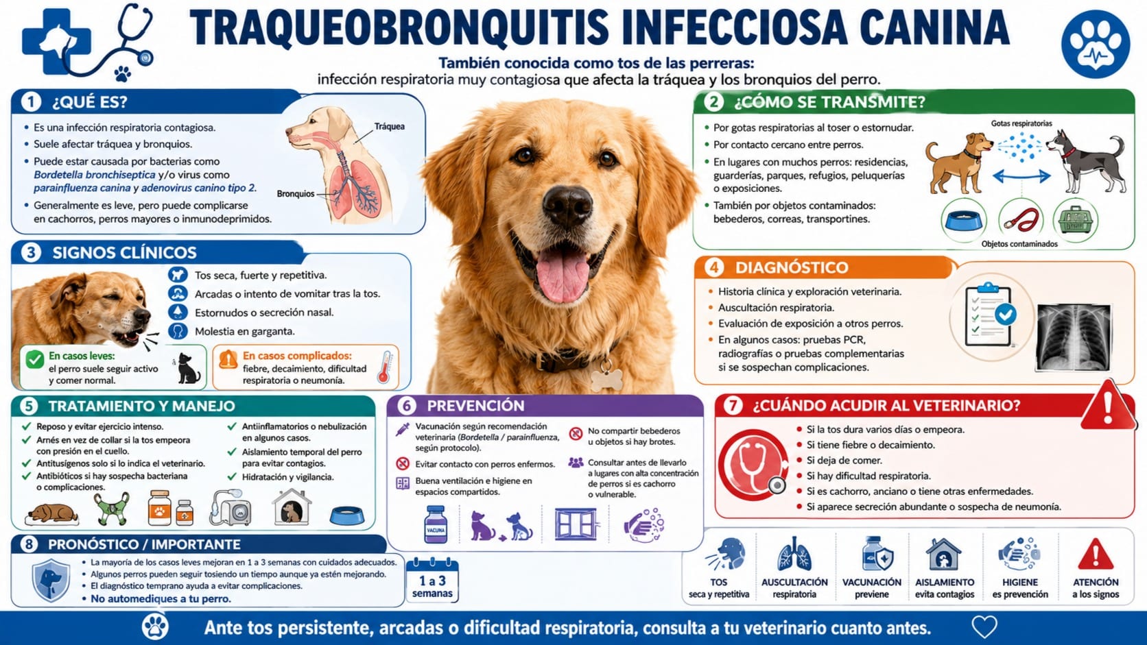 Traqueobronquitis Infecciosa (Tos de las Perreras)
