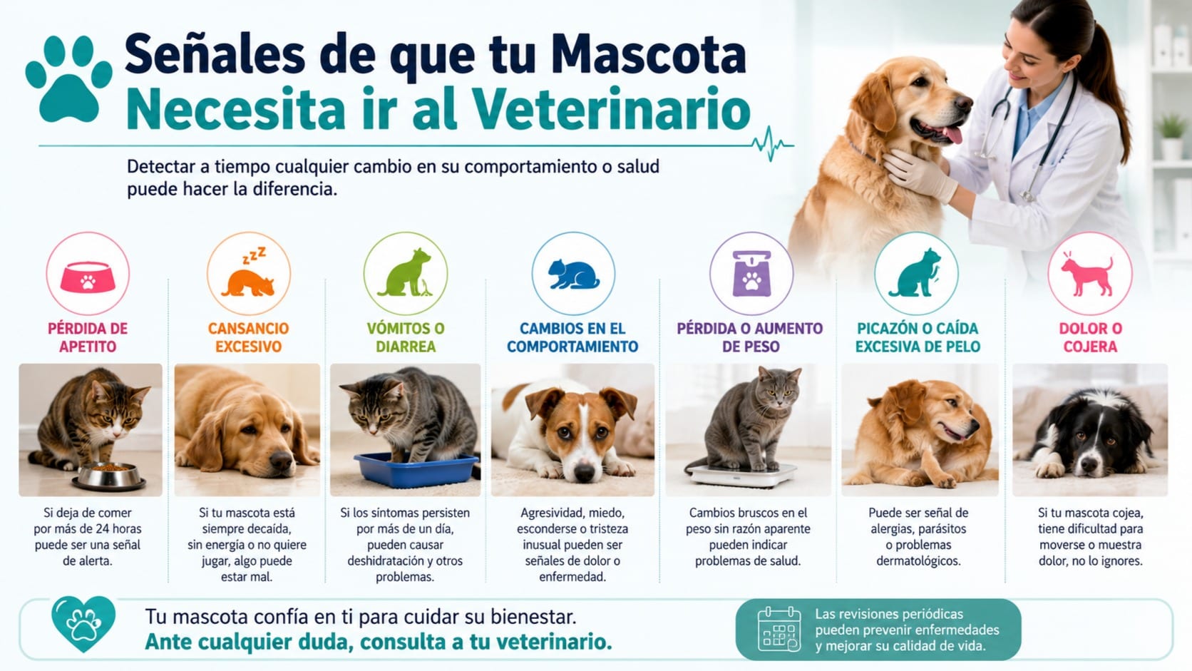 Señales de que tu Mascota Necesita ir al Veterinario